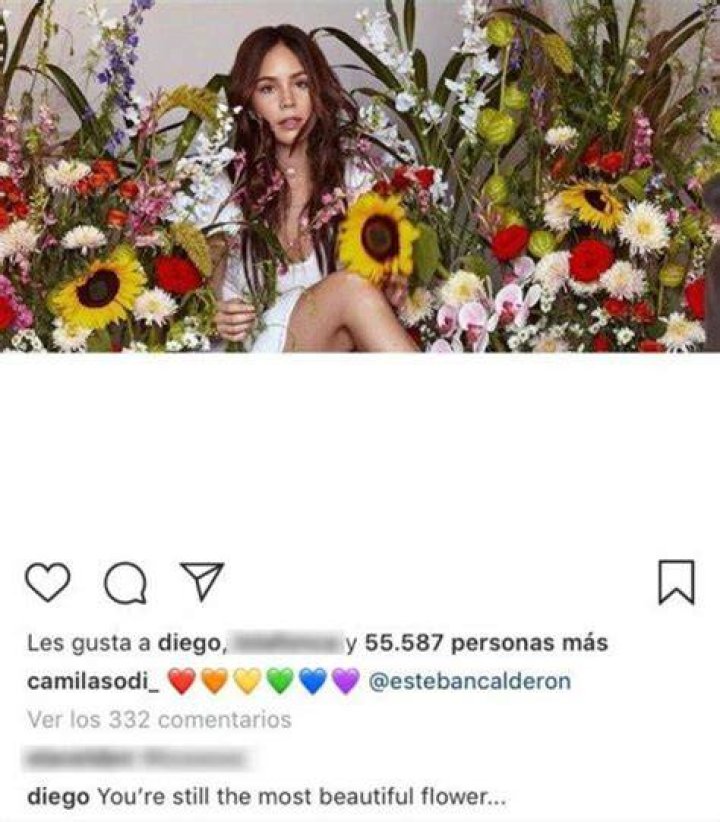 Camila Sodi, Diego Boneta's Girlfriend