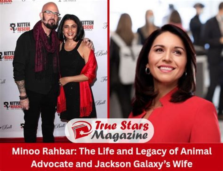 Moein Rahbar’s Girlfriend: Who is Moein Rahbar Dating?