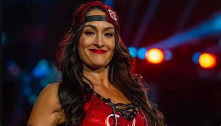, Nikki Bella's Husband