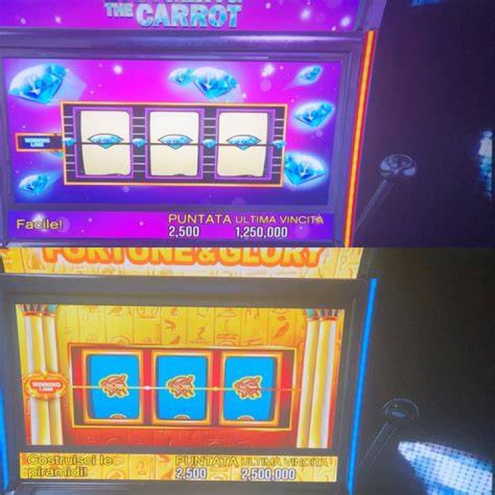 Stars at the Slots: The Allure of Celebrity-Themed Casino Games Among the A-Listers